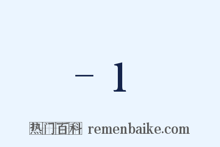 -1是什么意思的图片